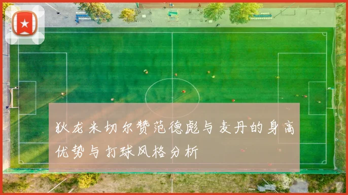 狄龙米切尔赞范德彪与麦丹的身高优势与打球风格分析